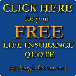 term vs permanent life insurance