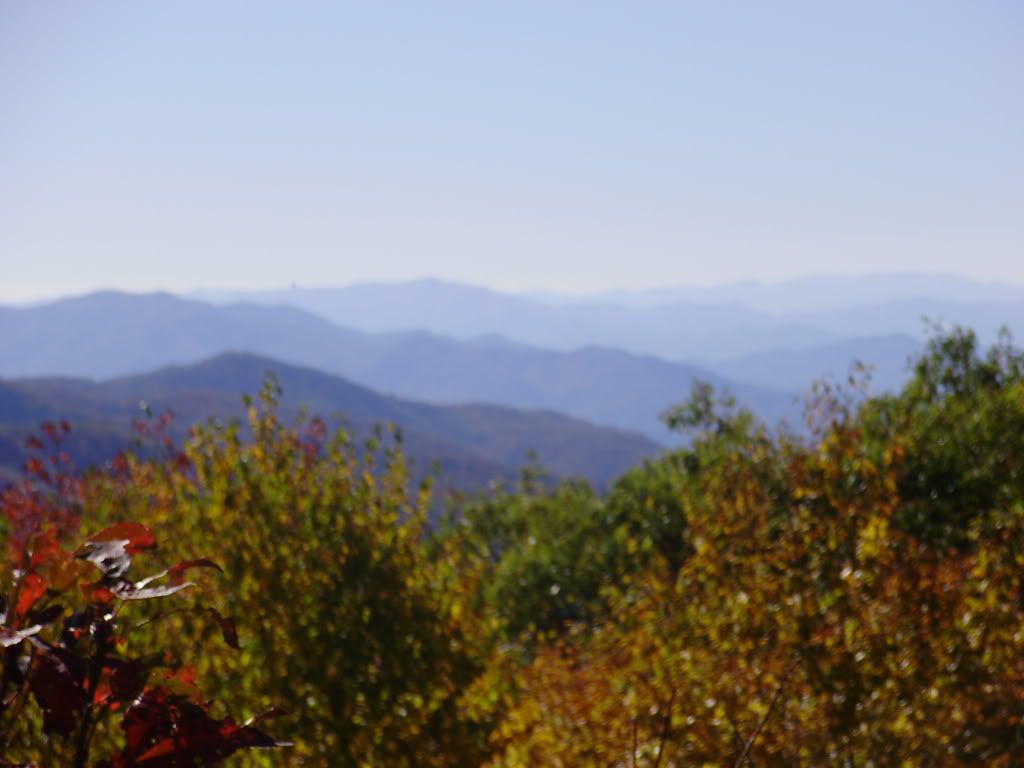 PA152594.jpg The Great Smokey Mountains image by arlene250