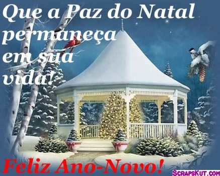 anonovo017.jpg