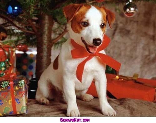 Recados de Natal para Orkut