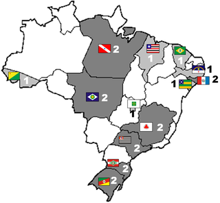 Brasileiro 2009