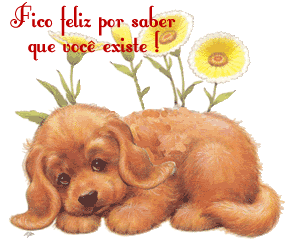 Gifs de Ursos, imagens de Urso