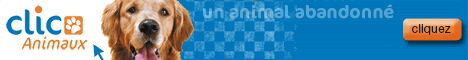 Animaux Animaux