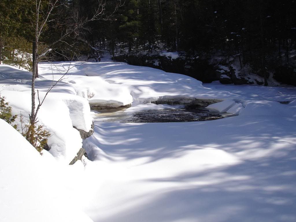 feb242008005a.jpg