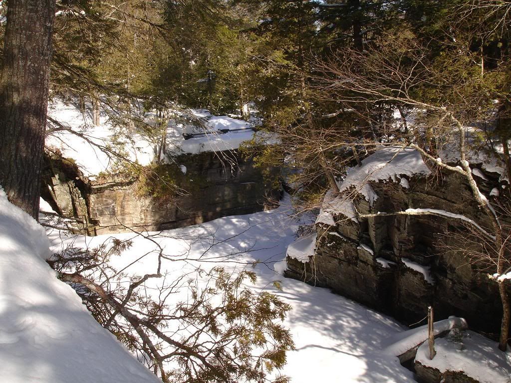 feb242008009a.jpg