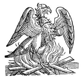 mphoenix.jpg