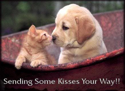 DOG KISSING A CAT Photo by SYMONE33_2008 | Photobucket