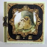 th_Corners_Owls.jpg