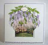 th_wisteria%201.jpg