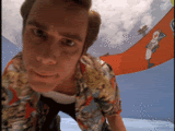 thletmetakealookatthat.gif