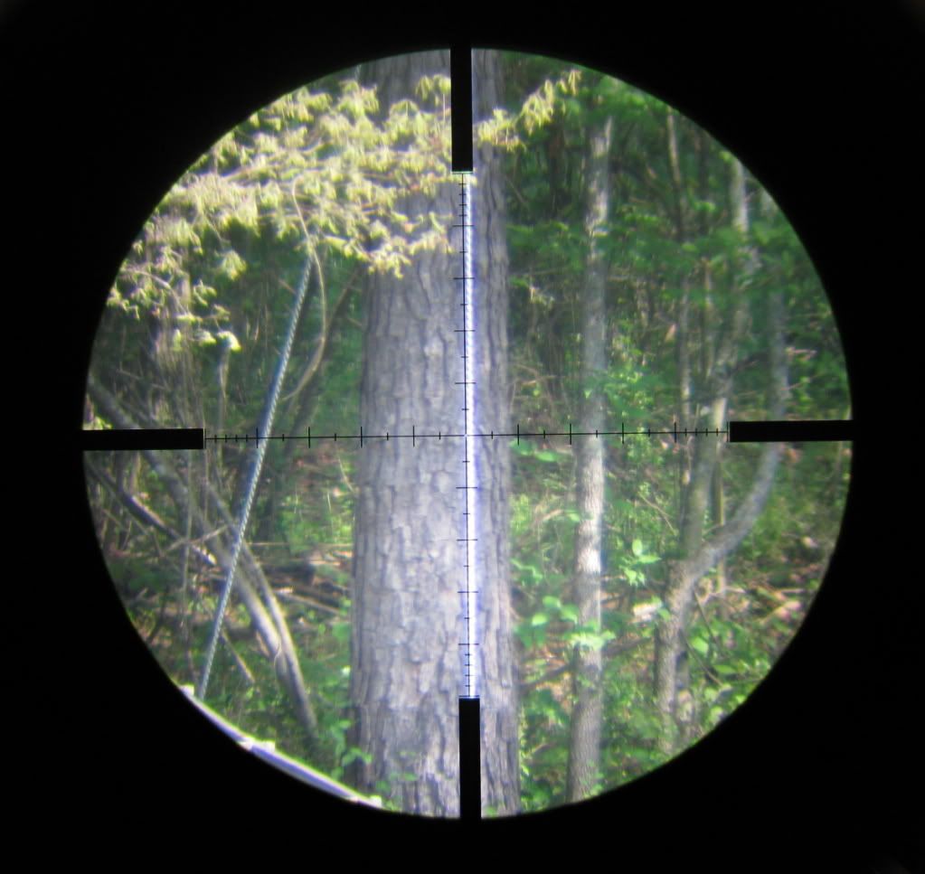 GAPrecisionreticle.jpg