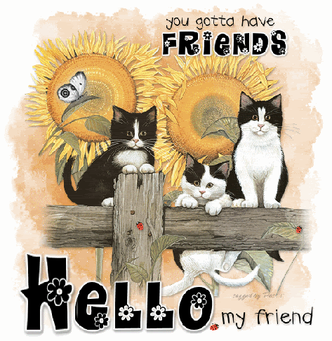 hello_my_friend_cat_fence122.gif image by pspangler11