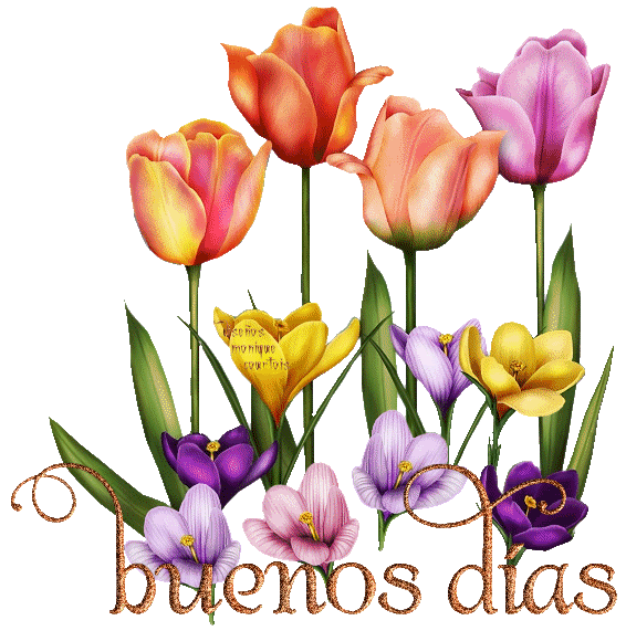 BuenosDiasflores.gif bd image by anonimaa2006