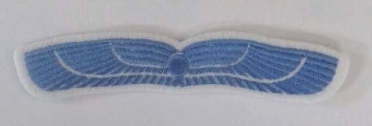 Blue%20Wing-prototype_zpsrqeu9bkf.jpg