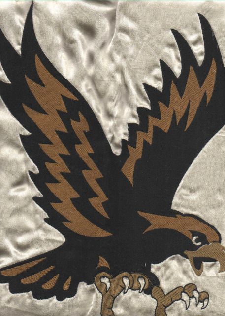 flying-eagle1.jpg