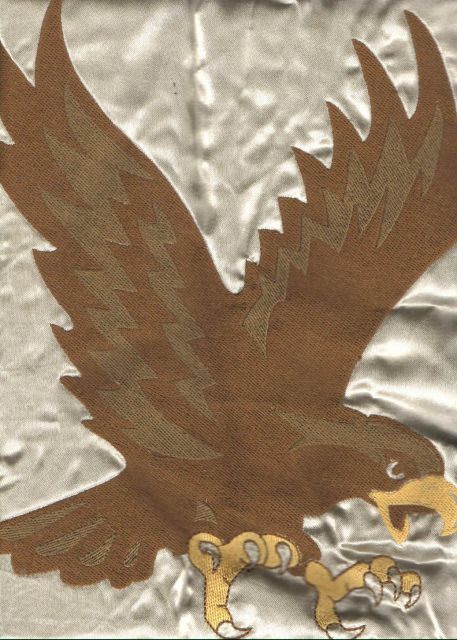 flying-eagle2.jpg