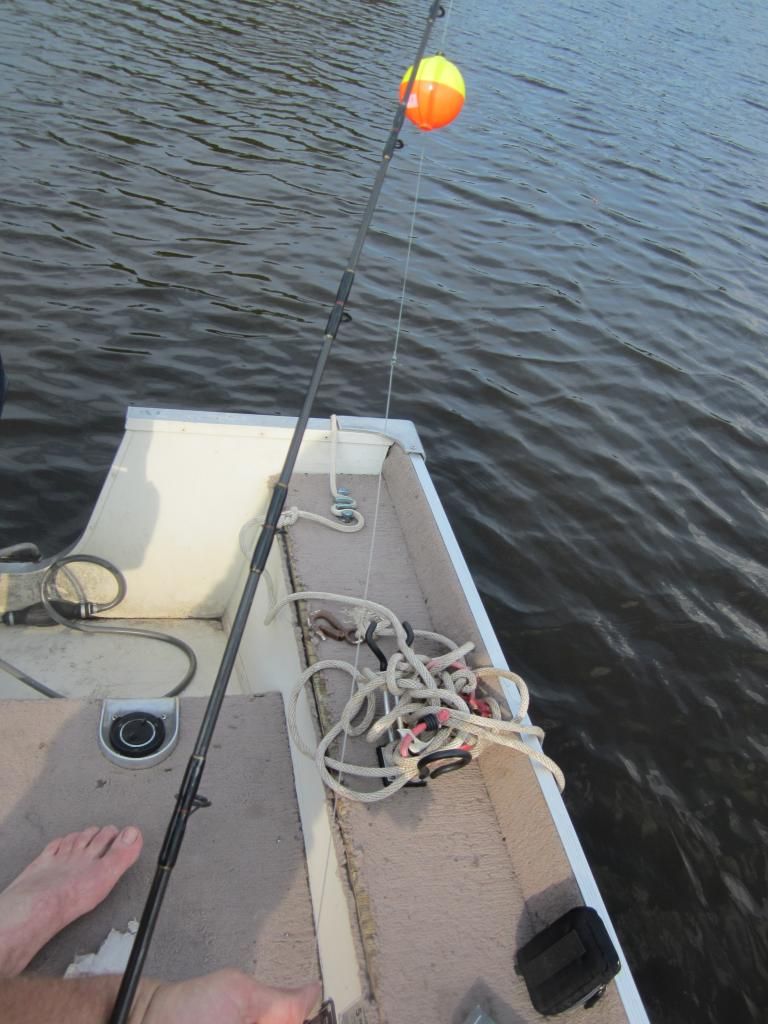 Live Bait Pike Fishing.