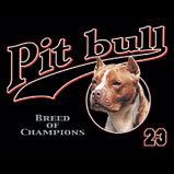 PITBULL.jpg PITBULL image by shizelley_photos