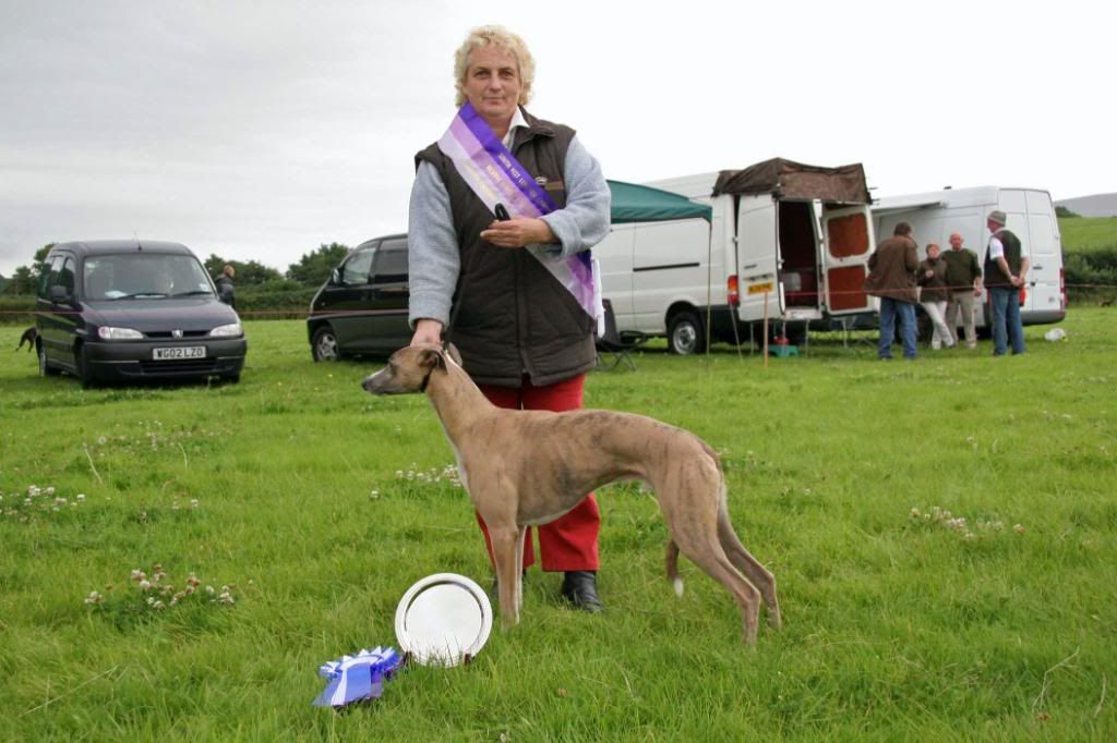 Res_SW_Lurcher_Ch08.jpg
