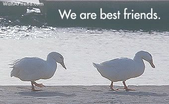 We Are Best Friends