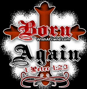 Born Again picture