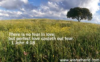 No Fear In Love picture