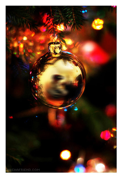 Christmas Ornament picture