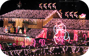 Christmas Lights picture