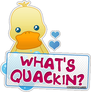 What's Quackin?