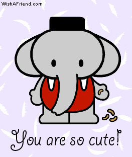 You Are So Cute! picture