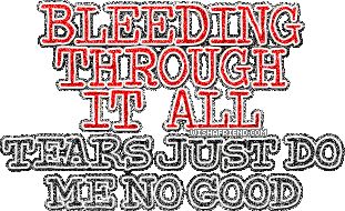 Bleeding Through It All picture