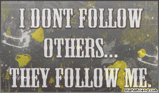 I Dont Follow Others picture