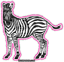 Zebra Stand Alone picture