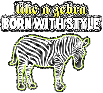 Zebra Style picture