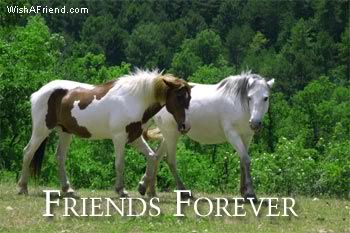 Friends Forever picture