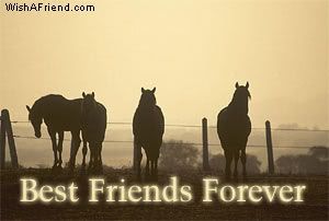 Best Friends Forever picture