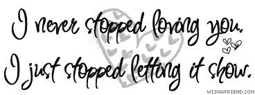 I Never Stopped Loving You picture