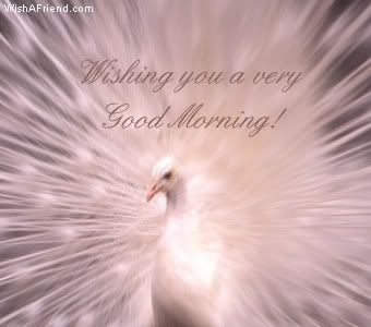 Wishing You A Good Morning