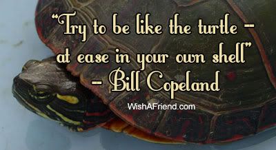 Try To Be Like The Turtle