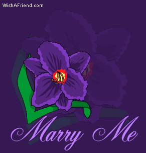 Marry Me picture