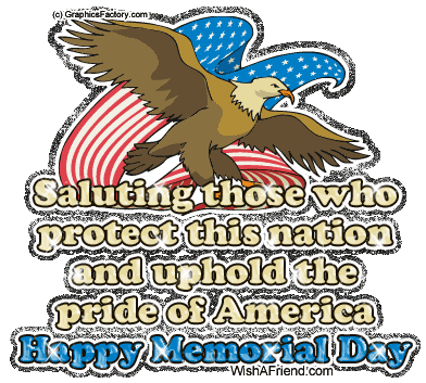 Saluting Those Who Protect This Nation picture