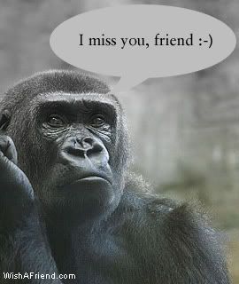 I Miss You, Friend! picture