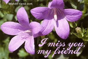 I Miss You, My Friend picture