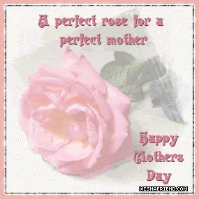 A Perfect Rose For A Perfect Mother