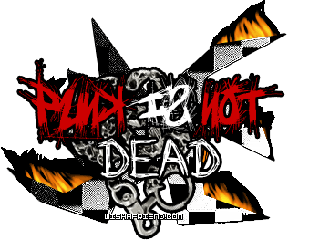 Punk Is Not Dead picture