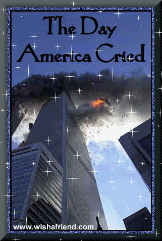 America Cried picture