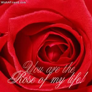 You Are The Rose Of My Life! picture