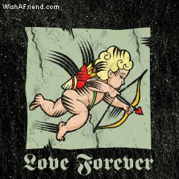 Love Forever picture