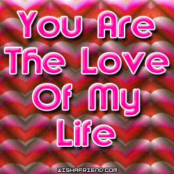 You Are The Love Of The My Life