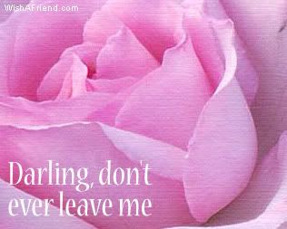 Darling, Don't Ever Leave Me picture